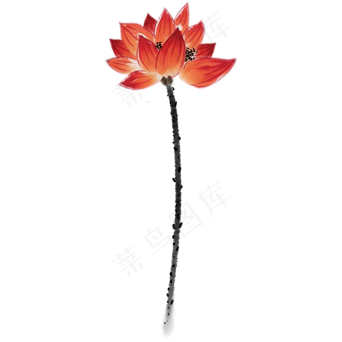 中国风水墨荷花