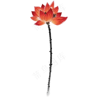 中国风水墨荷花