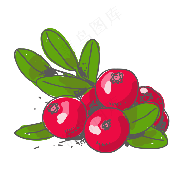 手绘蔓越莓矢量图片