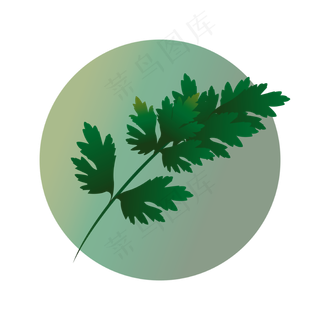 端午节艾草装饰图