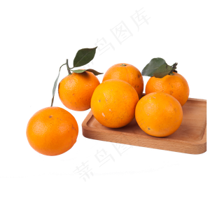 六个橙子（png免抠）