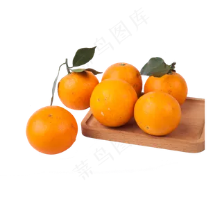 六个橙子(png免抠) 六个橙子(png免抠)