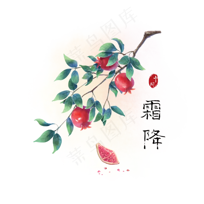 古风霜降红色石榴(2000X2000(DPI:300))psd模版下载