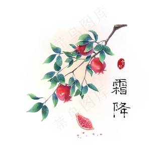 古风霜降红色石榴