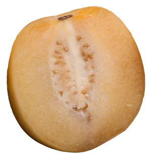 实拍半块水果内部结构