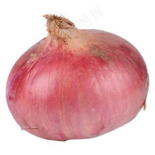 紫红色洋葱,免抠元素