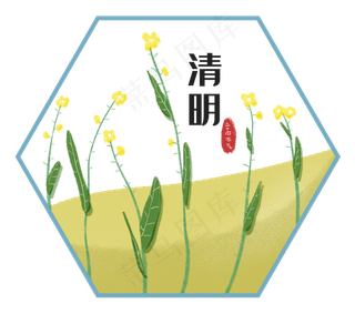 二十四节气清明油菜花