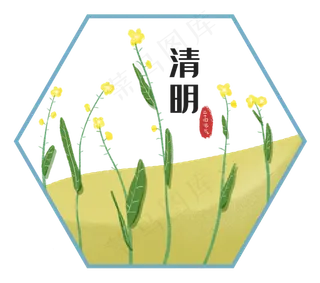 二十四节气清明油菜花