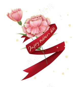 粉色康乃馨母亲节礼物