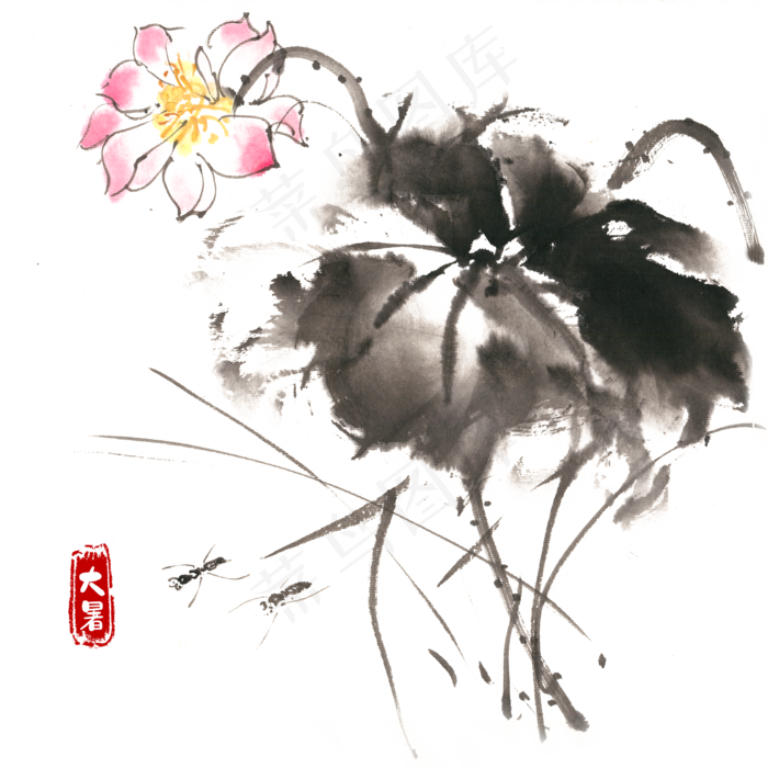 大暑荷花与昆虫,免抠元素