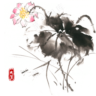 大暑荷花与昆虫,免抠元素