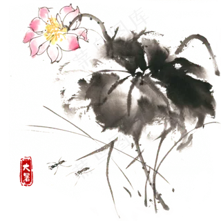 大暑荷花与昆虫,免抠元素