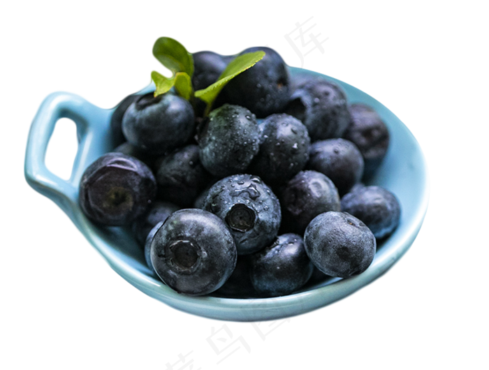 蓝莓水果