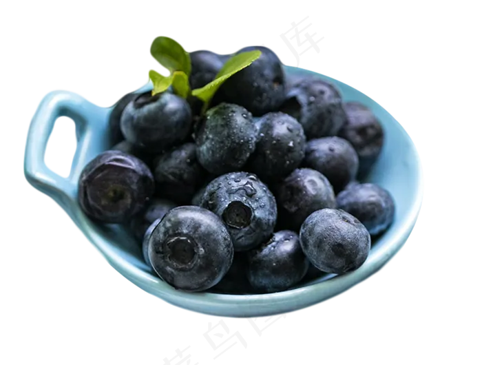 蓝莓水果(1519X1150(DPI:300))psd模版下载