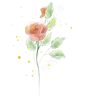 水彩淡彩玫瑰花