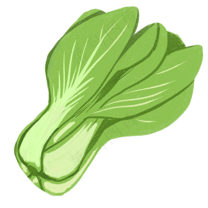 手绘青菜免扣PSD文件一颗