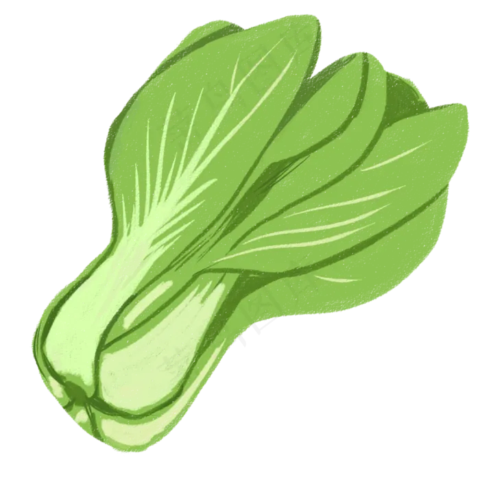 手绘青菜免扣PSD文件一颗(2000X2000(DPI:300))psd模版下载