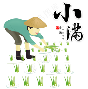 小满插秧的农民