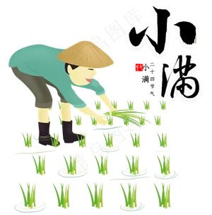 小满插秧的农民