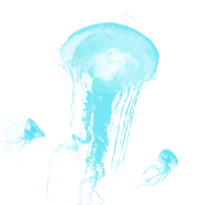 蓝色浮游生物水母章鱼元素,免抠元素