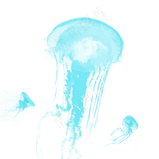 蓝色浮游生物水母章鱼元素,免抠元素