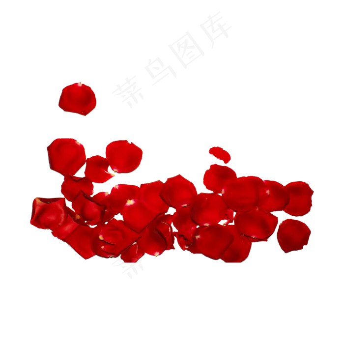 玫瑰花瓣（png免抠）(2000X2000(DPI:72))psd模版下载