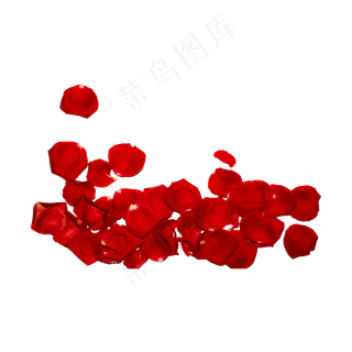 玫瑰花瓣（png免抠）