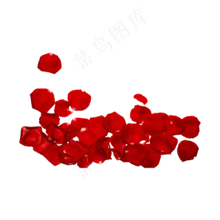 玫瑰花瓣（png免抠）