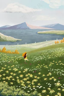 秋天菊花田野风景 秋天菊花田野风景