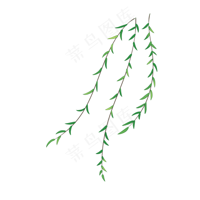初春柳枝枝条免扣素材