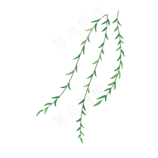 初春柳枝枝条免扣素材