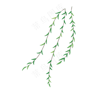 初春柳枝枝条免扣素材