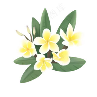 手绘鲜花装饰素材鸡蛋花蛋黄花