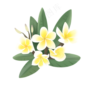 手绘鲜花装饰素材鸡蛋花蛋黄花