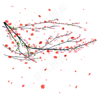 梅花花瓣 梅花花瓣
