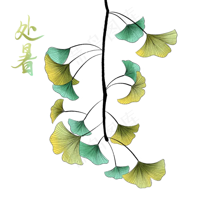节气处暑植物(2000X2000(DPI:300))psd模版下载