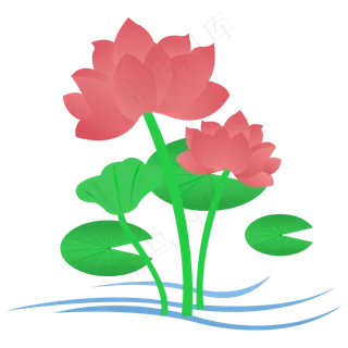 中国风红色白色水上的睡莲荷花