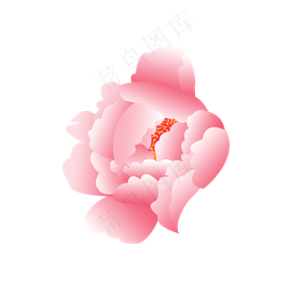 牡丹牡丹花苞富贵牡丹手绘牡丹花