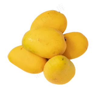 热带水果芒果