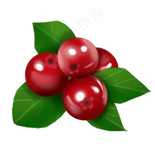 四个蔓越莓插图装饰