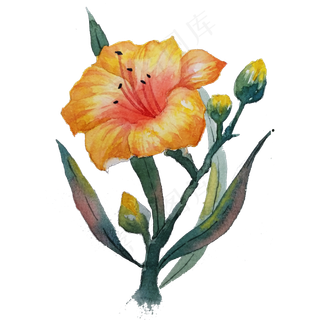 花朵小清新花草水彩花,免抠元素