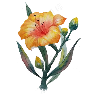 花朵小清新花草水彩花,免抠元素