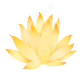 米黄色小清新单朵睡莲