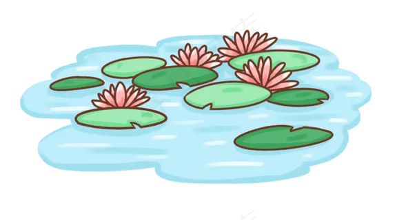 荷花池塘PNG免抠图