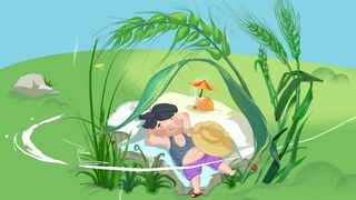 夏日风景大暑小暑清凉一夏