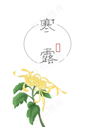寒露菊花,免抠元素