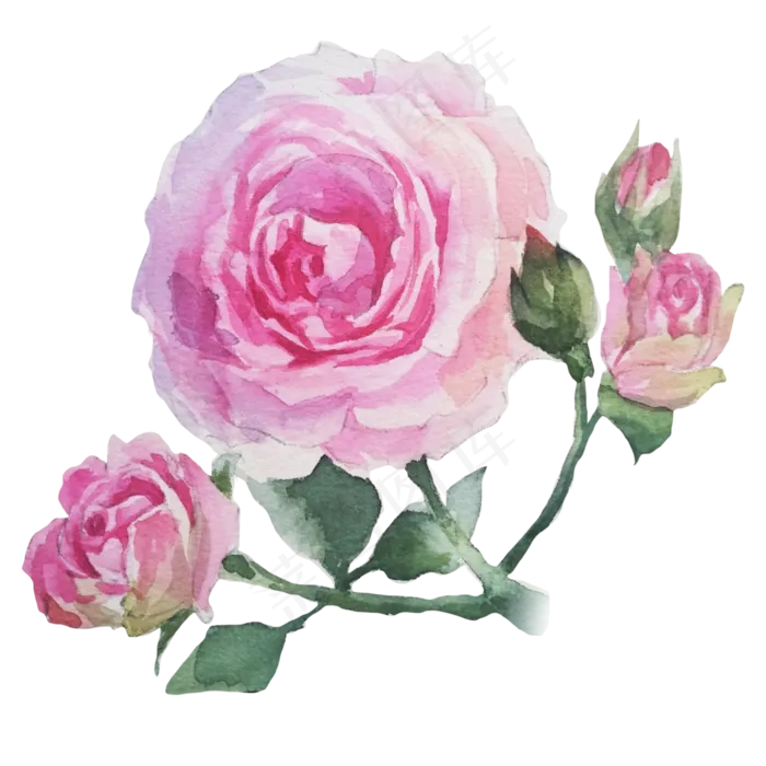 卡通水彩小清新花草(3315X3315(DPI:72))psd模版下载