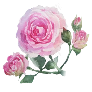 卡通水彩小清新花草