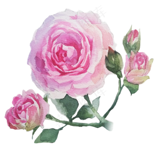 卡通水彩小清新花草