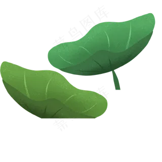 两个卡通荷花植物